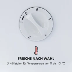 Beersafe L Crystal White Kühlschrank 47 Ltr 2 Böden Glastür Edelstahl 13 Beersafe L Crystal White Kühlschrank 47 Ltr 2 Böden Glastür Edelstahl -Haushaltsgerätegeschäft 10033121 de 0005 logo