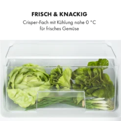 Big Daddy Cool Kühl-Gefrierkombination 61/25 Liter 2 Ebenen Edelstahl 16 Big Daddy Cool Kühl-Gefrierkombination 61/25 Liter 2 Ebenen Edelstahl -Haushaltsgerätegeschäft 10034005 de 0005 logo