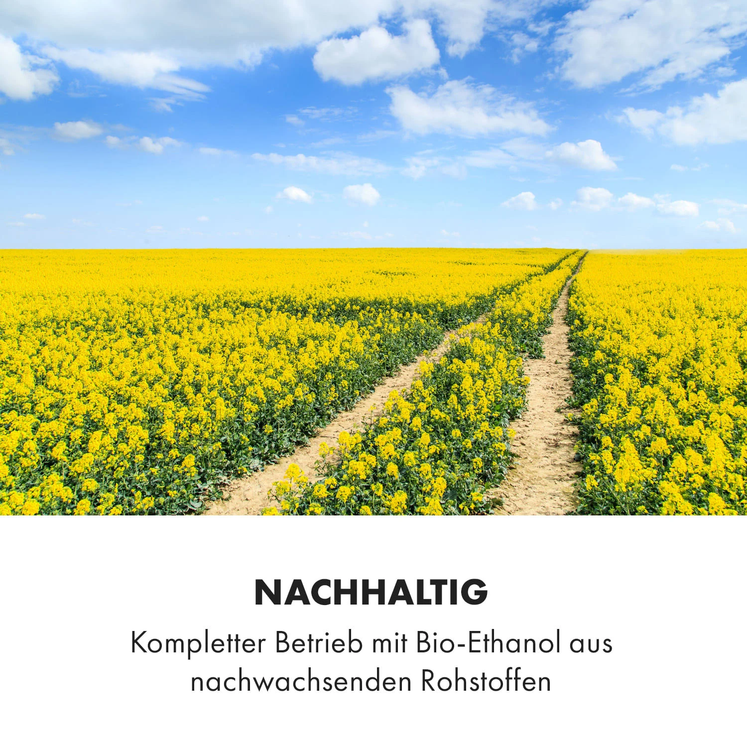 Phantasma Skyfire Ethanol-Kamin Sicherheitsbrenner Löschhilfe 7 Phantasma Skyfire Ethanol-Kamin Sicherheitsbrenner Löschhilfe – Bild 7