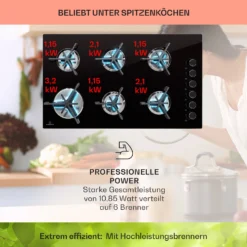 Trifecta 6 Gaskochfeld 6-flammig Gusseisen Glaskeramik 11 Trifecta 6 Gaskochfeld 6-flammig Gusseisen Glaskeramik -Haushaltsgerätegeschäft 10039422 de 0003 usp